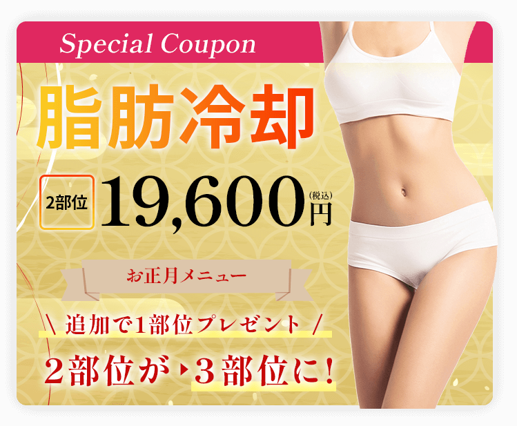 脂肪冷却19,600円