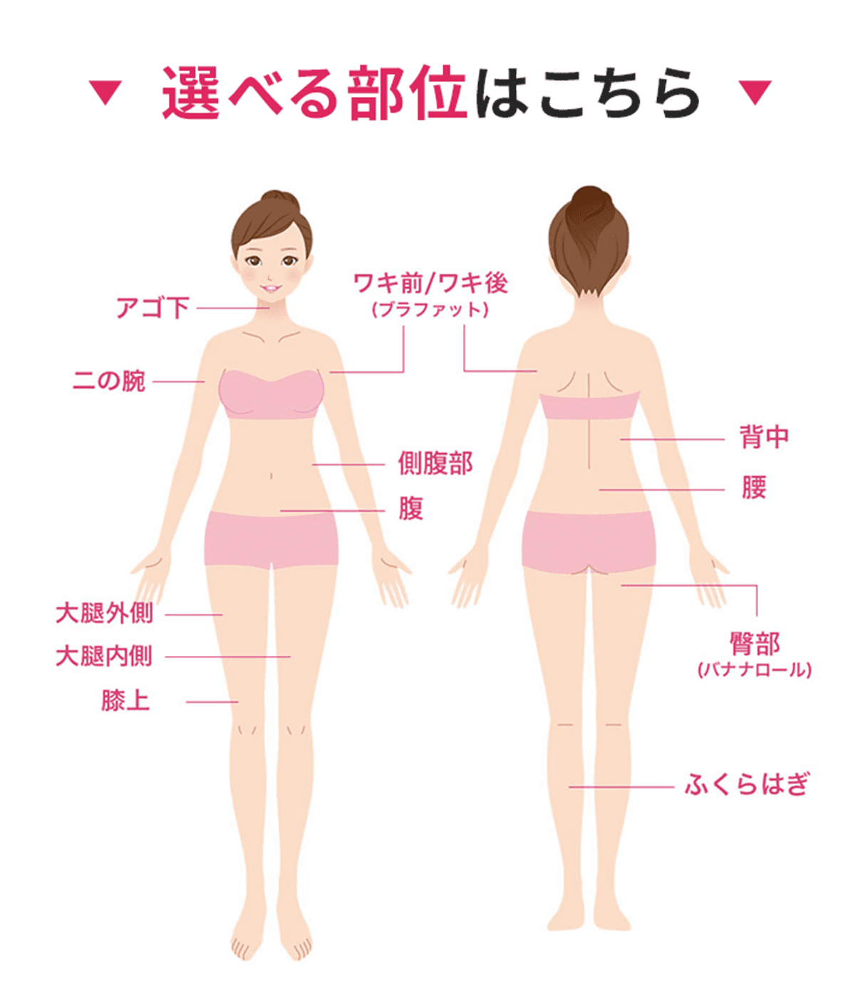 選べる部位はこちら