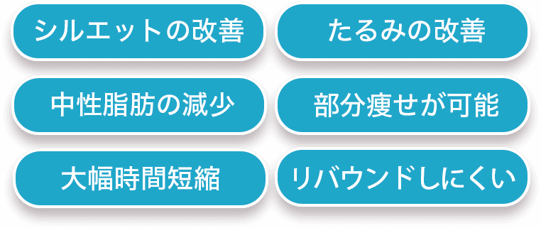 シルエットの改善、たるみの改善、中性脂肪の減少、部分痩せが可能、大幅時間短縮、リバウンドしにくい