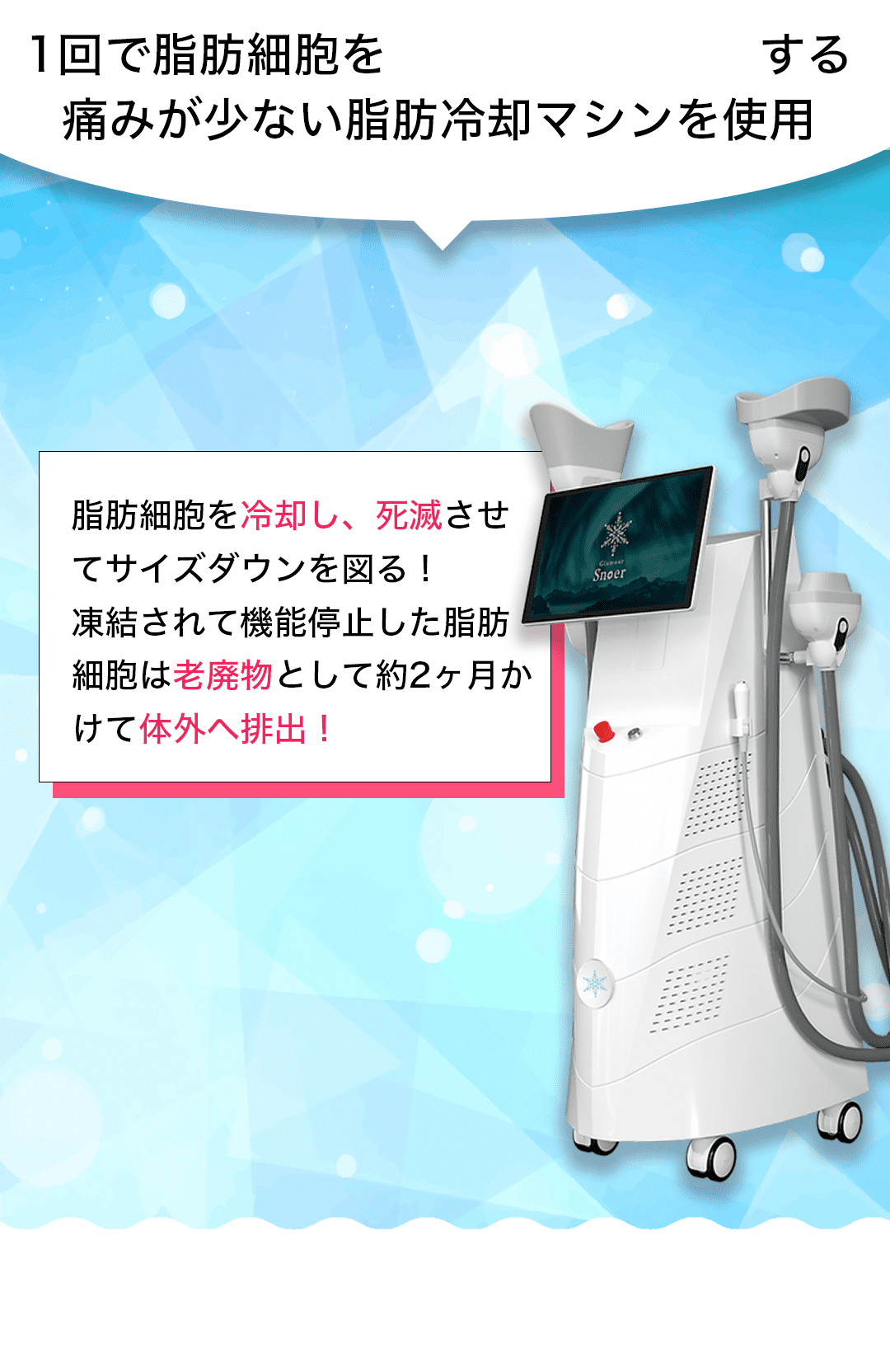 1回で脂肪細胞を20%破壊する痛みが少ない脂肪冷却マシンを使用