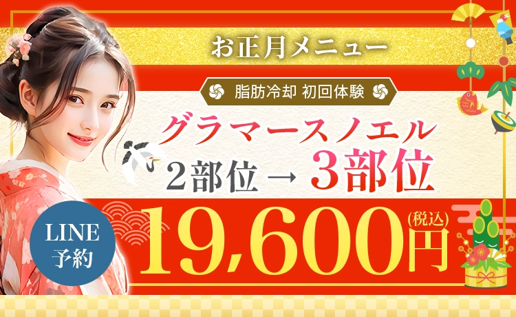 気になる部位を4つまで選べる！グラマースノエル3部位19,600円(税込)